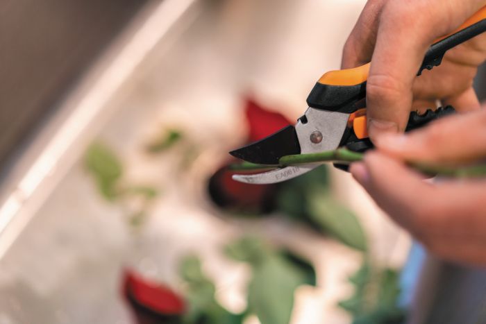 Fiskars Ножиці для обрізки квітів Solid SP14