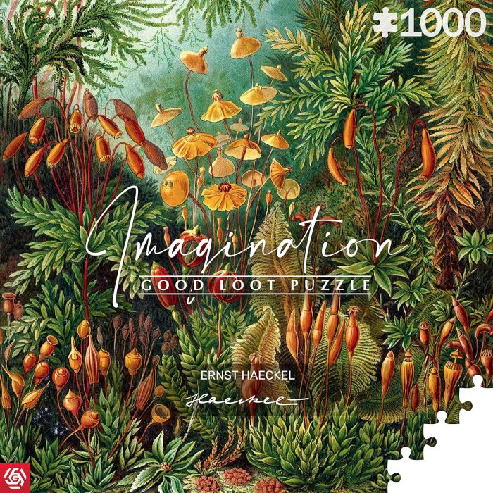 Пазл Imagination: Ernst Haeckel Muscinae Puzzles 1000 ел.