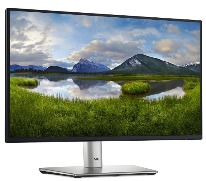 Монітор DELL 21.5" P2225H D-Sub, HDMI, DP, USB3.2, IPS, 100Hz, sRGB 99%, Pivot