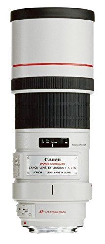 Об'єктив Canon EF 300mm f/4.0L USM IS