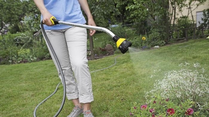 Зрошувач ручний Karcher "Plus", Штанга для поливу, 6 режимів