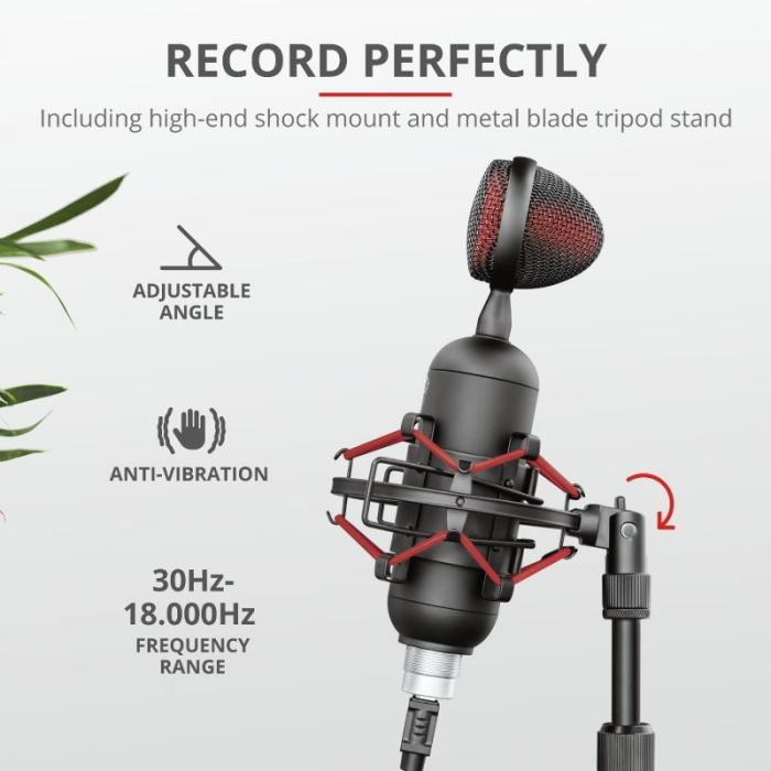 Мікрофон Trust GXT 244 Buzz USB Streaming Microphone Black