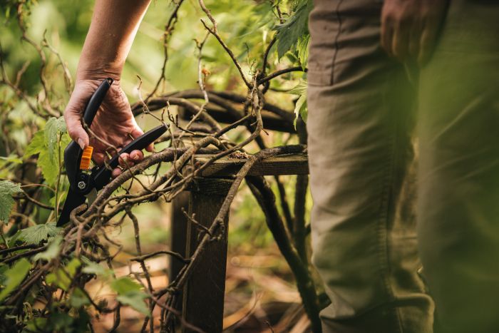 Fiskars Секатор площинний SingleStep P26