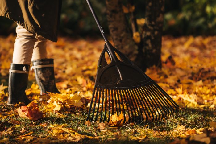 Fiskars Граблі Solid XL для листя, 173.5 см, 800г