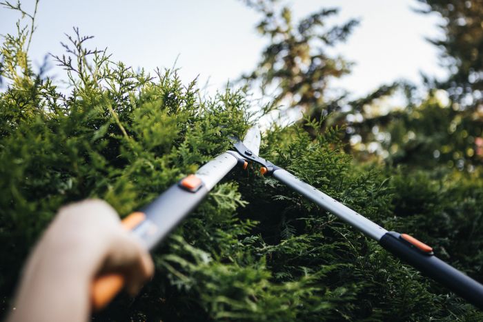 Fiskars Ножиці для кущів телескопічні SmartFit HS86