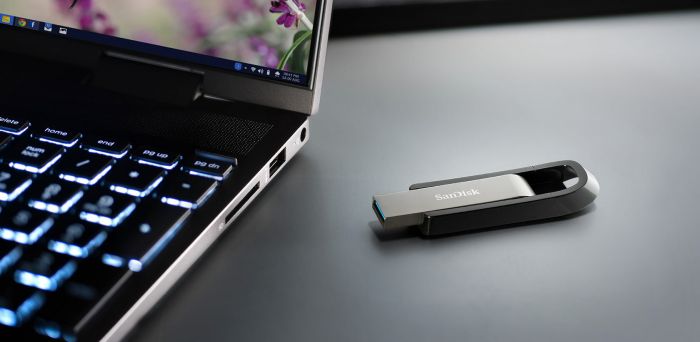 Накопичувач SanDisk  256GB USB 3.2 Extreme Go