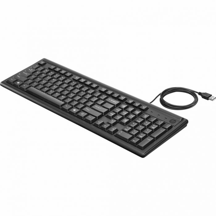 Клавіатура HP 100 USB Black