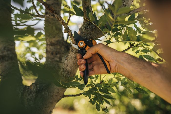 Fiskars Сікатор площинний Plus SmartFit P541, 26,5см, 194г