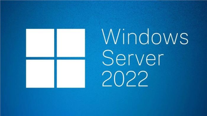 Програмне забезпечення Microsoft Windows Server 2022 Standard 64Bit English 1pk OEM DVD 16 Core