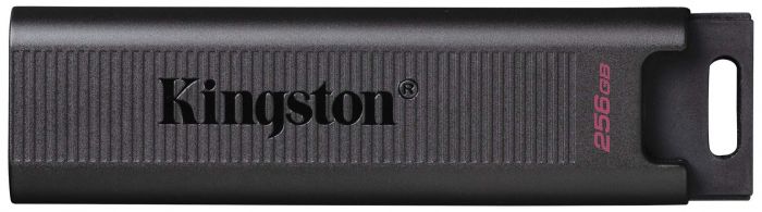 Накопичувач Kingston  256GB USB-C 3.2 Gen 2 DT Max