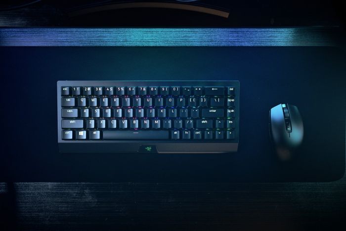 Клавіатура ігрова Razer BlackWidow V3 Mini HyperSpeed Green Switch WL/BT/USB RU RGB, Black