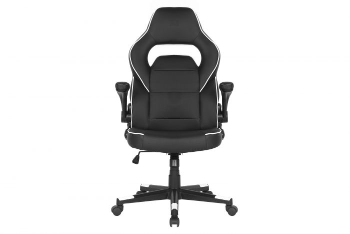 Крісло 2E GAMING HEBI Black/White