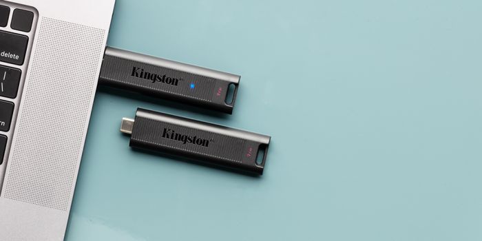 Накопичувач Kingston 1TB USB 3.2 Type-C Gen 2 DT Max