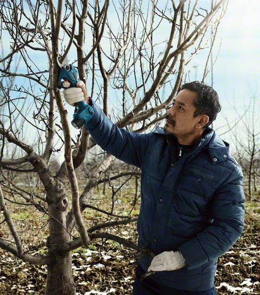 Секатор Bosch Pro Pruner SOLO акумуляторний, 12В, 3.0 Ач, до 25мм, 1кг