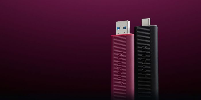Накопичувач Kingston  256GB USB 3.2 Gen 2 DT Max Type-A