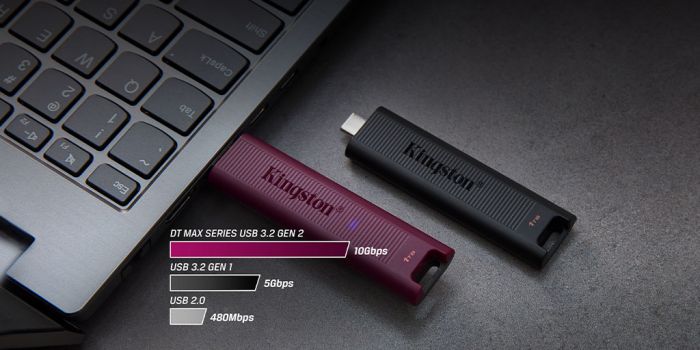 Накопичувач Kingston  256GB USB 3.2 Gen 2 DT Max Type-A