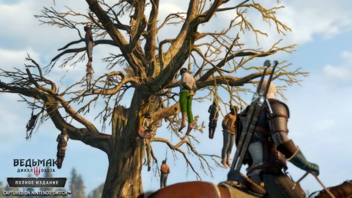 Програмний продукт Switch The Witcher 3: Wild Hunt