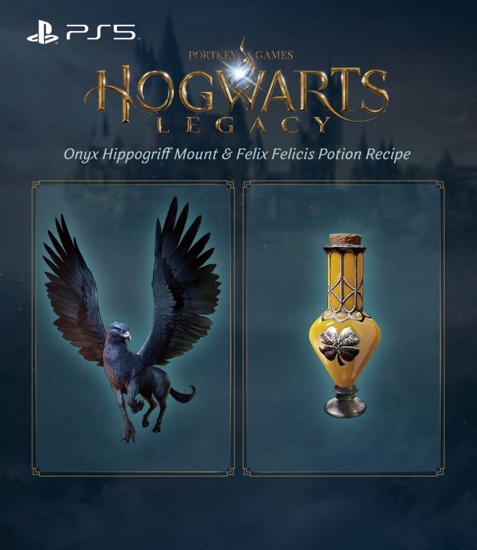 Гра консольна PS5 Hogwarts Legacy, BD диск