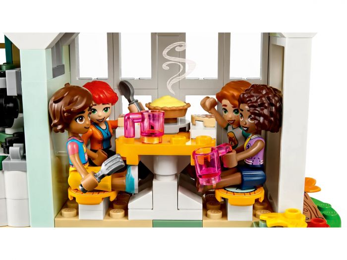 Конструктор LEGO Friends Будиночок Отом