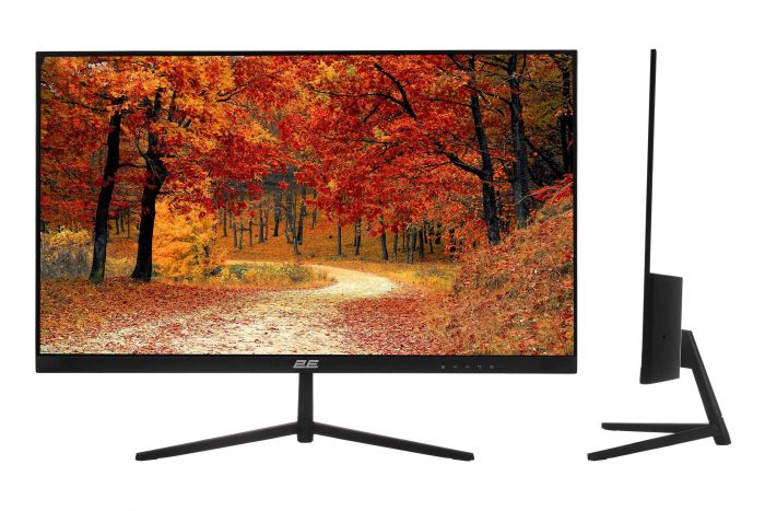 Монітор 2E 23.8" D2421B D-Sub, HDMI, Audio, IPS, 75Hz, FreeSync