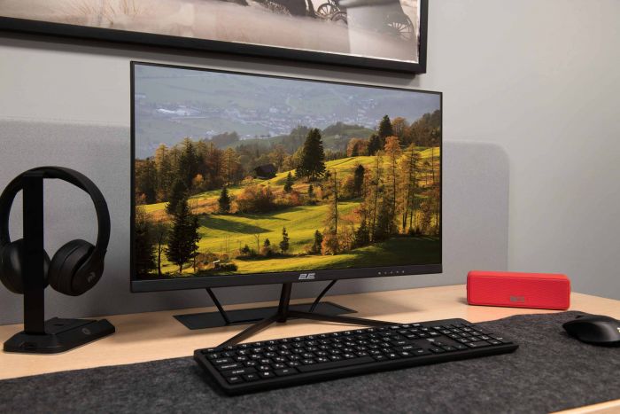 Монітор 2E 23.8" D2421B D-Sub, HDMI, Audio, IPS, 75Hz, FreeSync