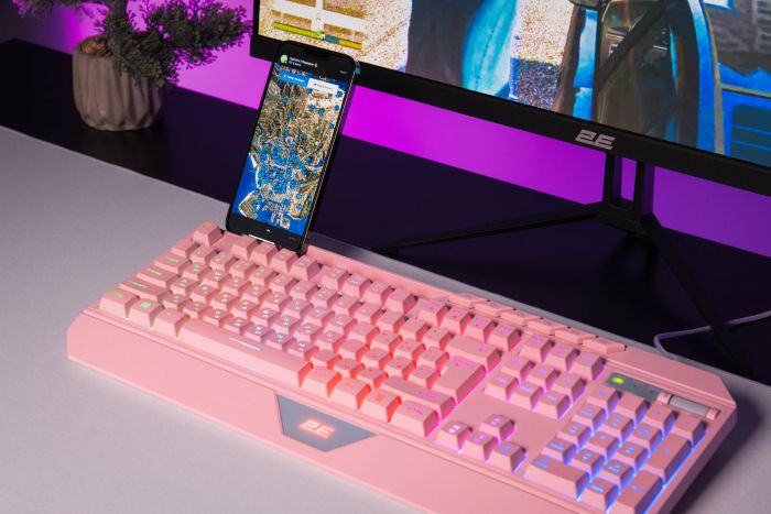 Клавіатура 2E GAMING KG315 RGB USB Pink Ukr