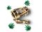 Конструктор LEGO Jurassic World Скам`янілості динозаврів: череп тиранозавра
