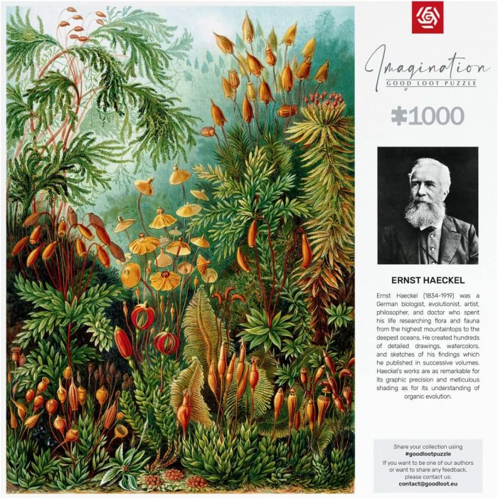 Пазл Imagination: Ernst Haeckel Muscinae Puzzles 1000 ел.