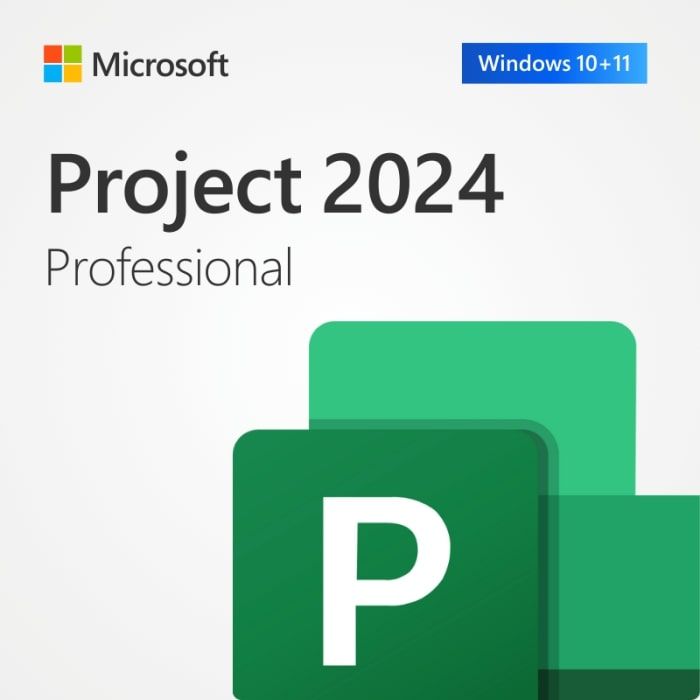 Примірник ПЗ Microsoft Project Pro 2024, ESD