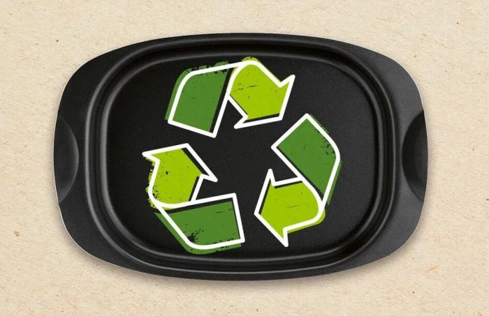 Форма для запікання Tefal La Recyclee, овальна, з ручками, 24х36см, алюміній, чорний