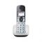 Радіотелефон DECT Panasonic KX-TGE510RUS, чорно-сріблястий