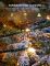Гірлянда Smart LED Govee H80C4 Christmas String Lights 2, RGBWIC, 20м, кабель прозорий