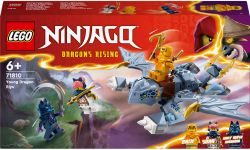 Конструктор LEGO Ninjago Молодий дракон Рію