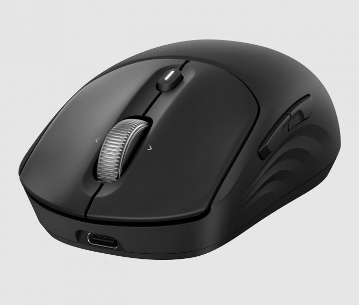 Миша HP 700 Rechargeable, WL/BT, чорний