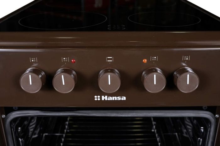 Плита електрична Hansa, 50х60см, 68л, коричневий