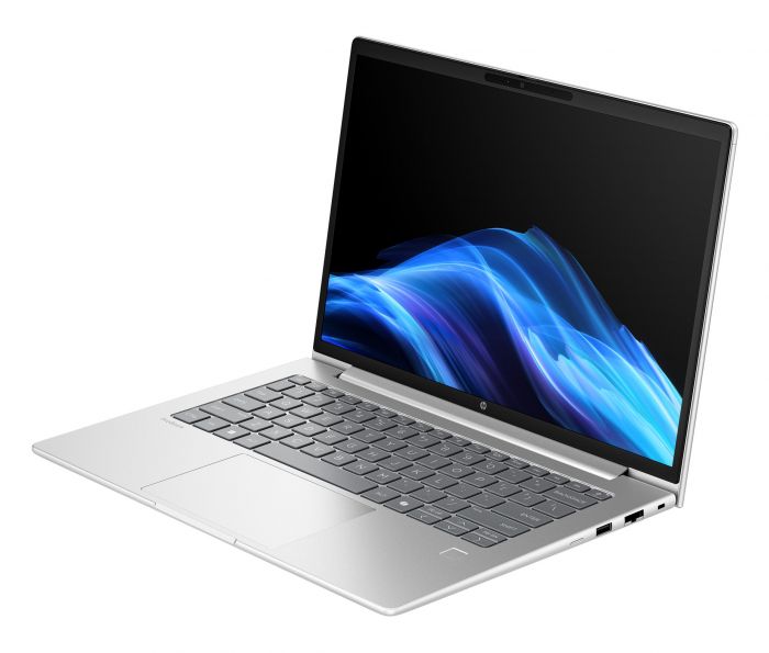 Ноутбук HP Probook 4-G1a 14" WUXGA IPS, AMD R3-210, 24GB, F1024GB, UMA, DOS, сріблястий
