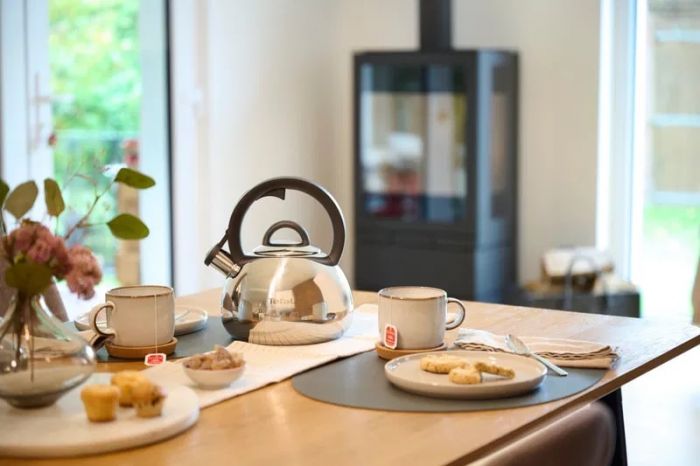 Чайник зі свистком Tefal Duetto+, 2.5л, нержавіюча сталь, сталевий, чорний