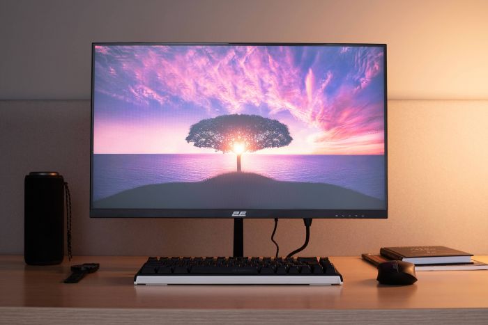 Монітор 2E 23.8" D2425B D-Sub, HDMI, MM, IPS, 100Hz, FreeSync