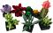 Конструктор LEGO Botanicals Сукуленти