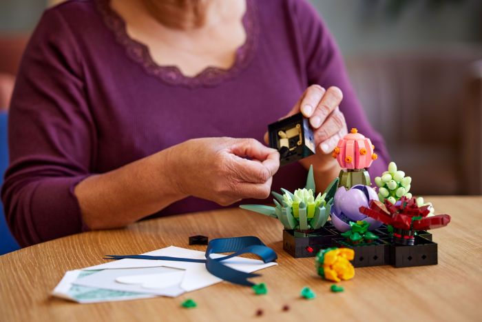 Конструктор LEGO Botanicals Сукуленти