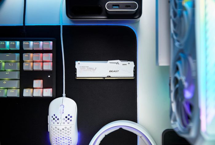 Пам'ять ПК Kingston DDR5 16GB 6000 FURY Beast EXPO Білий