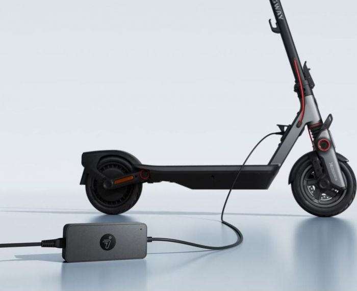 Швидкісний зарядний пристрій Segway-Ninebot 48V, чорний