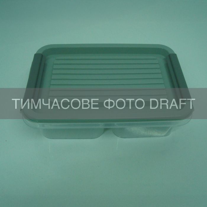 Контейнер двосекційний для зберігання харчових продуктів ARDESTO Fresh 2х0.25л, пластик, прямокутна, сірий