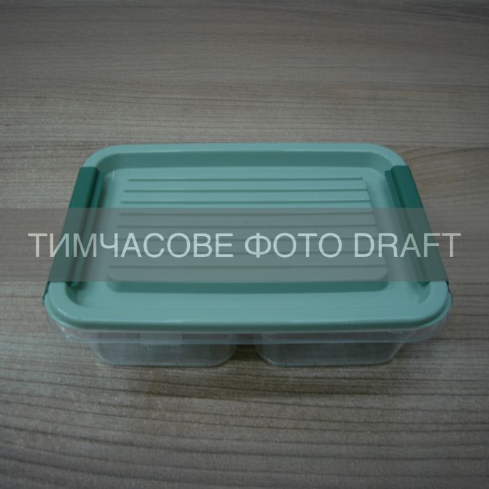 Контейнер двосекційний для зберігання харчових продуктів ARDESTO Fresh 2х0.25л, пластик, прямокутна, зелений