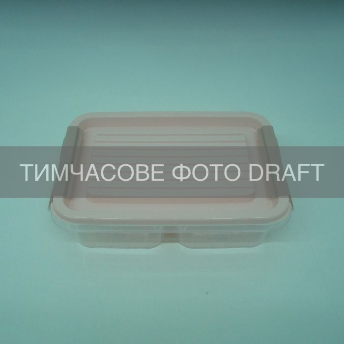 Контейнер двосекційний для зберігання харчових продуктів ARDESTO Fresh 2х0.25л, пластик, прямокутна, рожевий