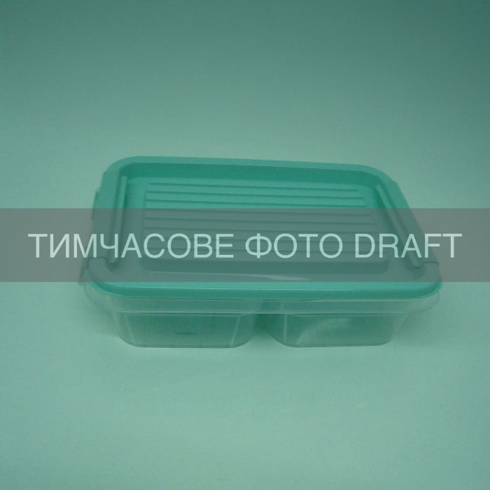 Контейнер двосекційний для зберігання харчових продуктів ARDESTO Fresh 2х0.25л, пластик, прямокутна, блакитний