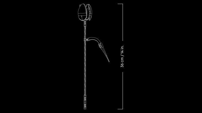 Конструктор LEGO Botanicals Букет тюльпанів