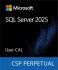 Програмний продукт Microsoft SQL Server 2025 - 1 User CAL
