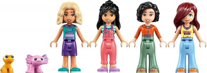 Конструктор LEGO Friends Родинний дім Ліан