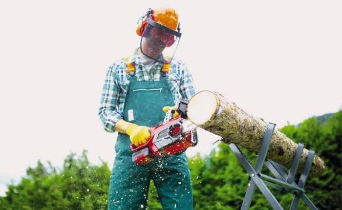 Пила ланцюгова акумуляторна Einhell GE-LC 18/25 Li Kit 18В PXC акб 1х4А·год шина 25см ЗП 2.97кг